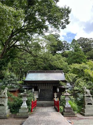 高倉神社の参拝記録(みんきちさん)