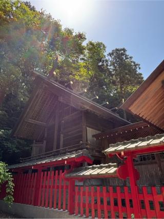 高倉神社の参拝記録(ほちさん)