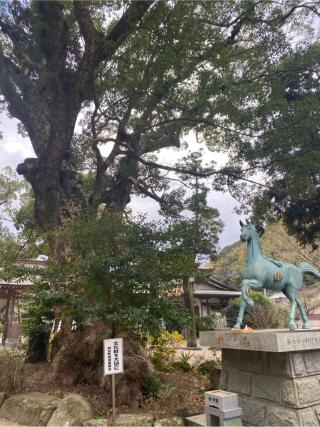 高倉神社の参拝記録(よかよかさん)
