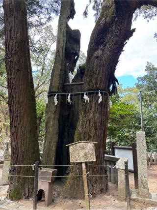 高倉神社の参拝記録(ユウさん)