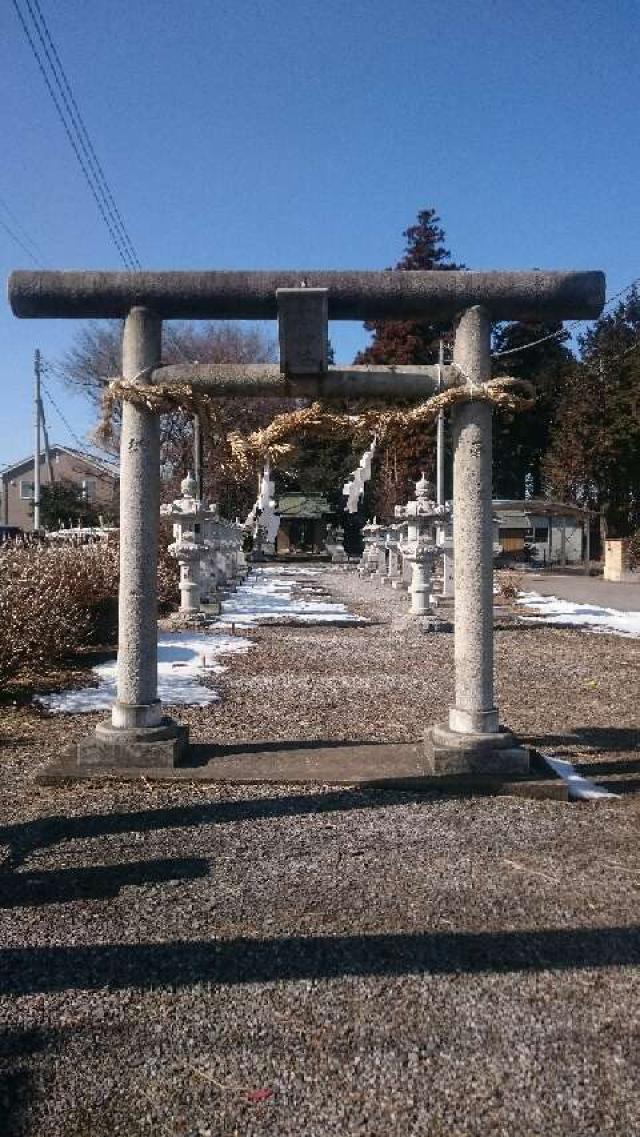 栃木県下野市下古山3-15-23 三宮神社の写真1