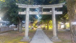 蓮根氷川神社の参拝記録(まっちゃんさん)