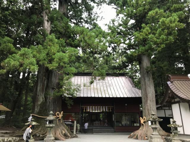 諏訪神社(北口本宮冨士浅間神社摂社)の参拝記録6