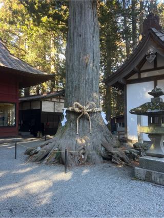 諏訪神社(北口本宮冨士浅間神社摂社)の参拝記録(⛩️🐍🐢まめ🐢🐍⛩️さん)