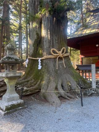 諏訪神社(北口本宮冨士浅間神社摂社)の参拝記録(⛩️🐍🐢まめ🐢🐍⛩️さん)