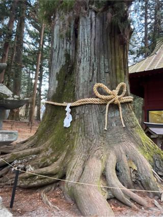 諏訪神社(北口本宮冨士浅間神社摂社)の参拝記録(⛩️🐍🐢まめ🐢🐍⛩️さん)