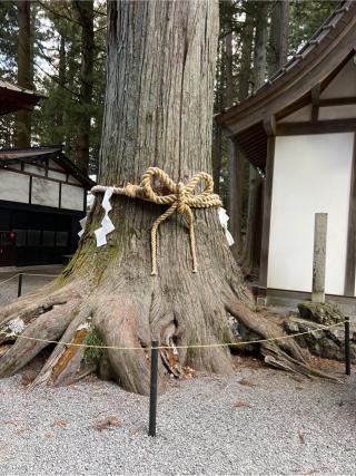 諏訪神社(北口本宮冨士浅間神社摂社)の参拝記録(⛩️🐍🐢まめ🐢🐍⛩️さん)