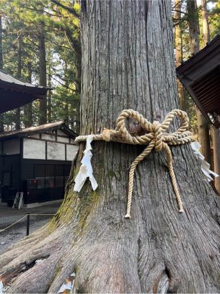 諏訪神社(北口本宮冨士浅間神社摂社)の参拝記録(⛩️🐍🐢まめ🐢🐍⛩️さん)