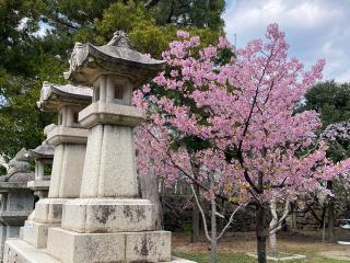 八幡神社(小浜八幡宮)の参拝記録(二代目無宿さん)