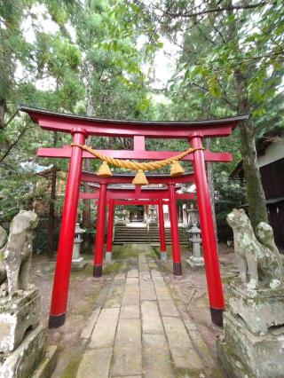 八幡神社(小浜八幡宮)の参拝記録(おかやんさん)