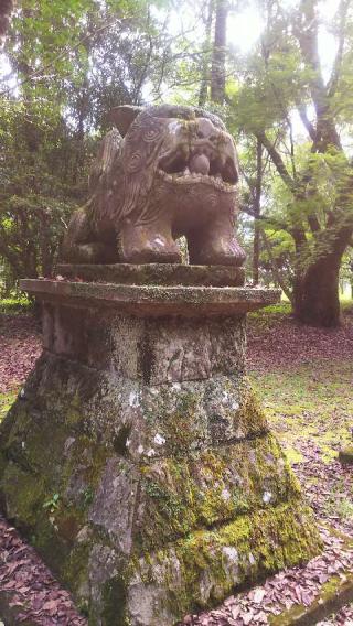 綾神社の参拝記録(ぼたんさん)