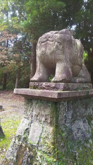 綾神社の参拝記録(ぼたんさん)