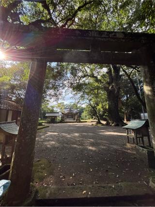 綾神社の参拝記録(弥栄さん)