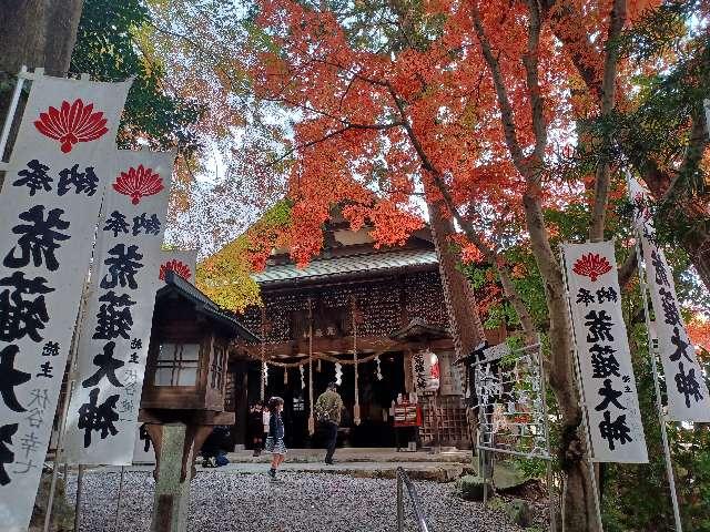 こびの天狗山の参拝記録1