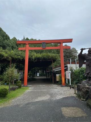 こびの天狗山の参拝記録(二代目無宿さん)