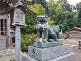 宇佐神社の参拝記録(飛成さん)