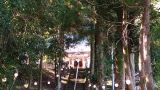 奈古神社の参拝記録(ruinさん)