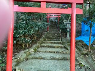 白龍稲荷神社の参拝記録(まついちさん)