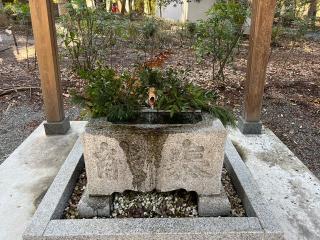 諏訪八幡神社の参拝記録(みこりんさん)