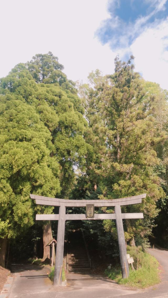 的野正八幡宮(的野神社)の参拝記録7