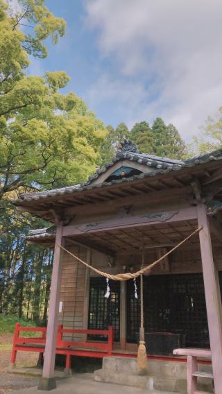 的野正八幡宮(的野神社)の参拝記録( 14th moonさん)