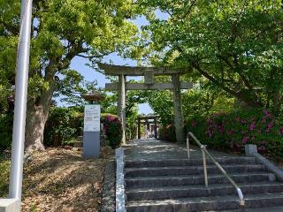 日吉神社の参拝記録(太陽さん)
