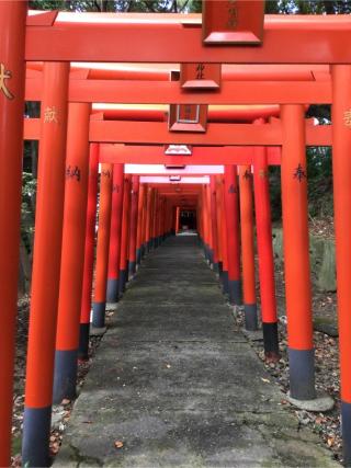 名島豊川稲荷神社の参拝記録(Takeru Yamatoさん)