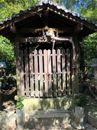 弁財天神社の参拝記録(ちもさん)