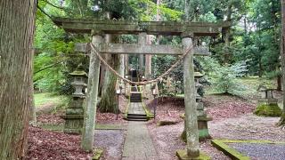 白河神社の参拝記録(金猿さん)