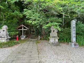 白河神社の参拝記録(からしさん)