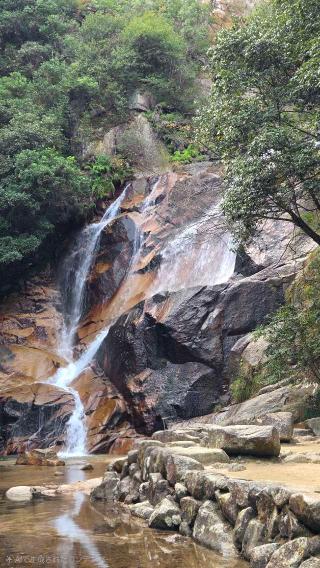 大頭神社の参拝記録(車　一郎さん)
