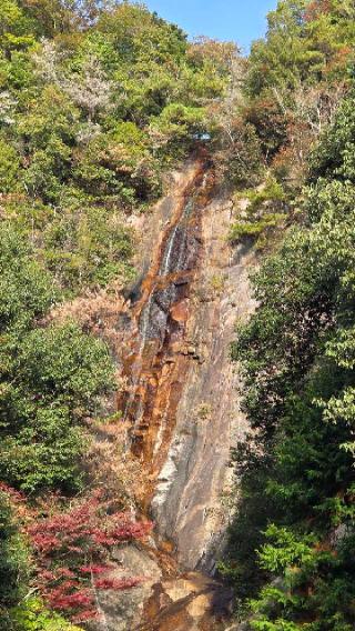 大頭神社の参拝記録(車　一郎さん)