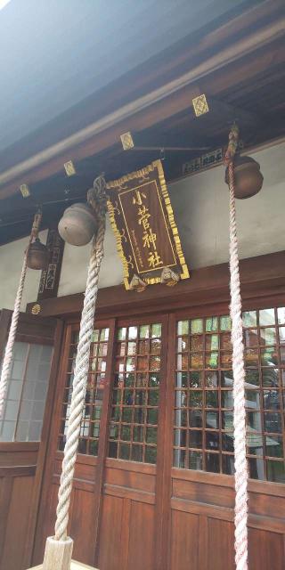 小菅神社の参拝記録(海さん)