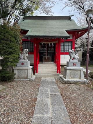舟渡氷川神社の参拝記録(こーちんさん)