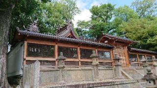 津島神社の参拝記録(のぶちゃんさん)