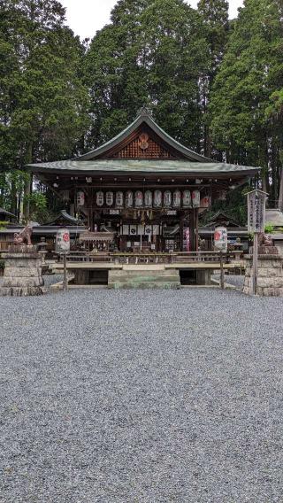 新宮神社の参拝記録(たこやきさん)