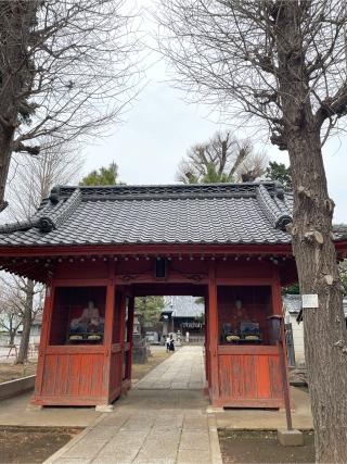 赤塚諏訪神社の参拝記録(ハボタンはケールさん)