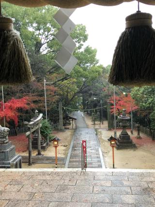 大瀧神社の参拝記録(あくんさん)
