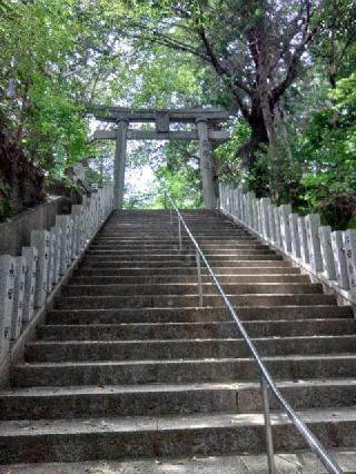 大瀧神社の参拝記録(亀吉さん)