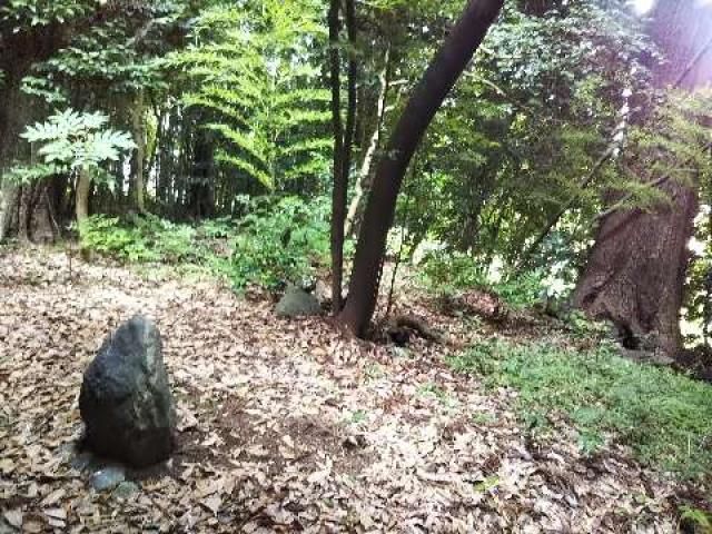 奈良県桜井市赤尾42 忍坂山口坐神社の写真2