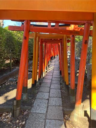 乙女稲荷神社(根津神社境内社)の参拝記録(⛩️🐍🐢まめ🐢🐍⛩️さん)