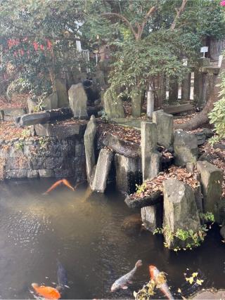 乙女稲荷神社(根津神社境内社)の参拝記録(⛩️🐍🐢まめ🐢🐍⛩️さん)