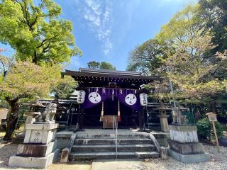 許波多神社の参拝記録(さくらさん)
