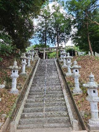 日吉神社の参拝記録(風祭すぅさん)