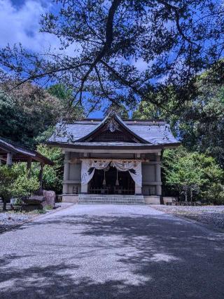 鶴岡八幡神社の参拝記録(こまいぬおさん)