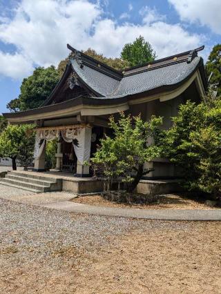 鶴岡八幡神社の参拝記録(こまいぬおさん)