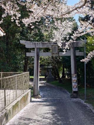 岩屋神社の参拝記録(太陽さん)