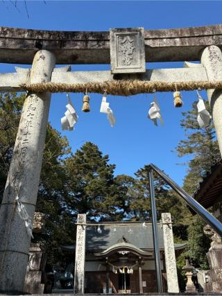 椿八幡宮の参拝記録(ほちさん)