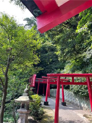 白龍稲荷大神（海地獄）の参拝記録(タケちゃんさん)