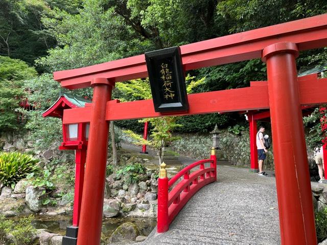 白龍稲荷大神（海地獄）の参拝記録6